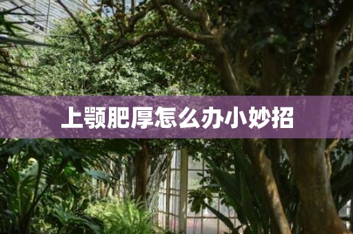 上颚肥厚怎么办小妙招
