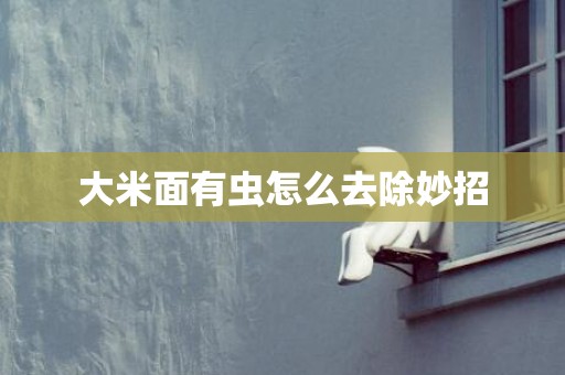 大米面有虫怎么去除妙招