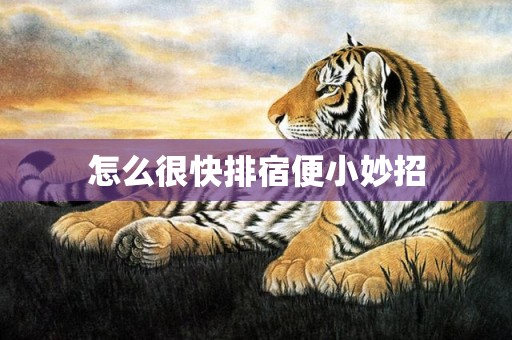 怎么很快排宿便小妙招