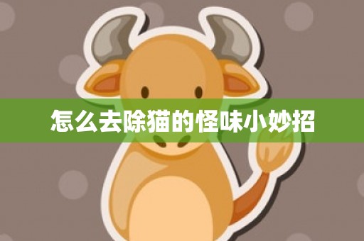 怎么去除猫的怪味小妙招