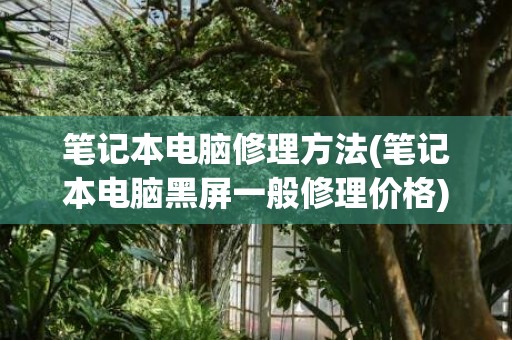 笔记本电脑修理方法(笔记本电脑黑屏一般修理价格)