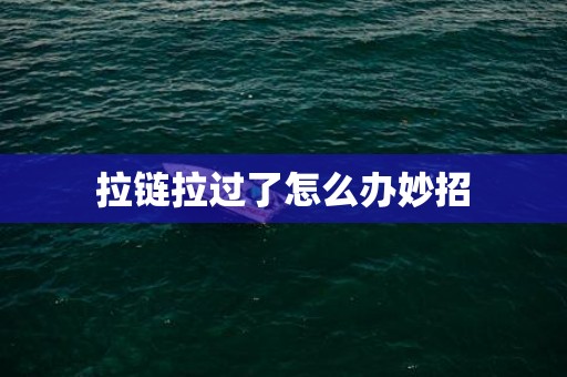 拉链拉过了怎么办妙招