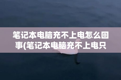 笔记本电脑充不上电怎么回事(笔记本电脑充不上电只能插电使用怎么回事)