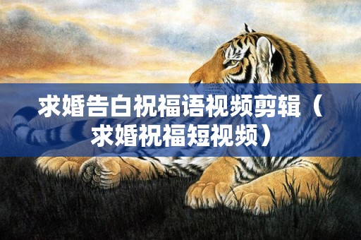求婚告白祝福语视频剪辑（求婚祝福短视频）