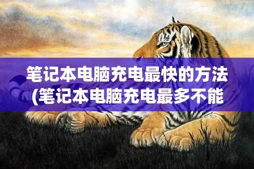 笔记本电脑充电最快的方法(笔记本电脑充电最多不能超过几个小时)