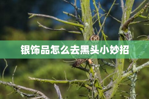 银饰品怎么去黑头小妙招