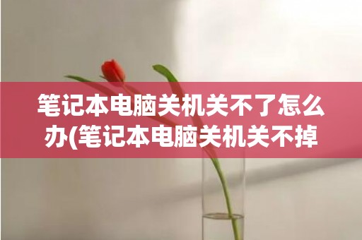 笔记本电脑关机关不了怎么办(笔记本电脑关机关不掉)