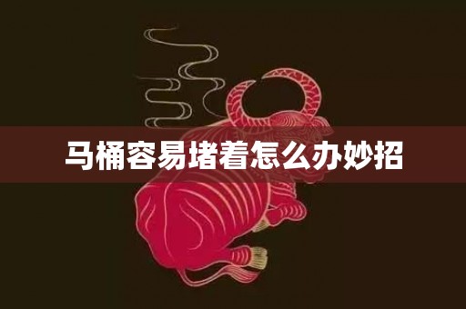 马桶容易堵着怎么办妙招