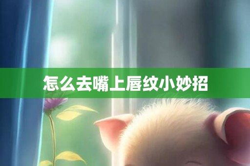 怎么去嘴上唇纹小妙招