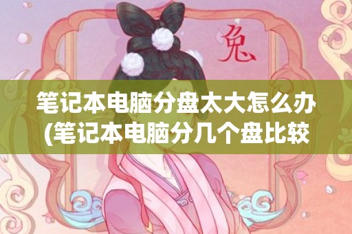 笔记本电脑分盘太大怎么办(笔记本电脑分几个盘比较好)