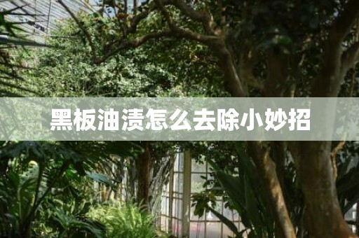 黑板油渍怎么去除小妙招
