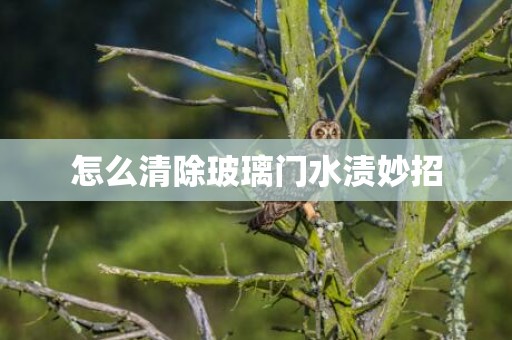 怎么清除玻璃门水渍妙招