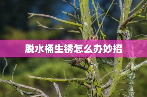 脱水桶生锈怎么办妙招