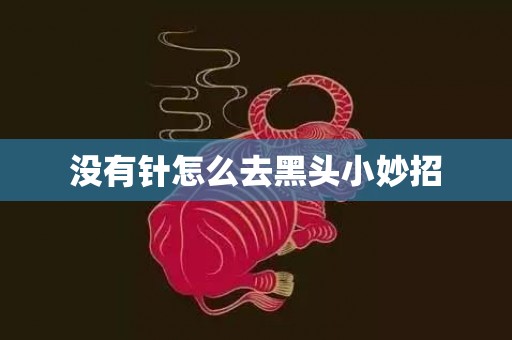 没有针怎么去黑头小妙招