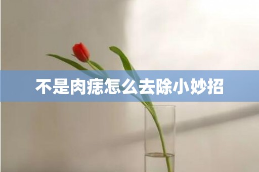 不是肉痣怎么去除小妙招