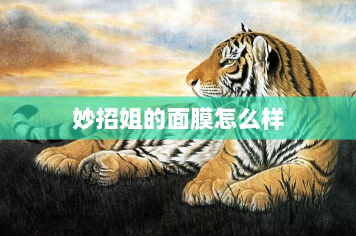 妙招姐的面膜怎么样