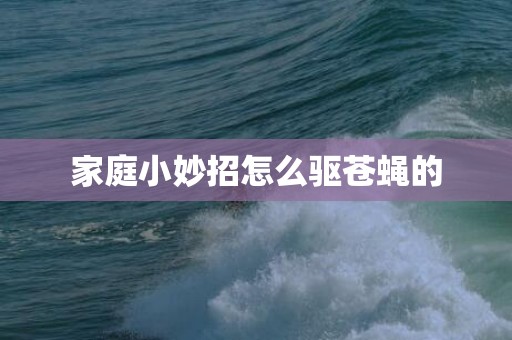 家庭小妙招怎么驱苍蝇的