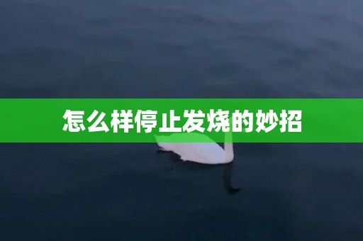 怎么样停止发烧的妙招