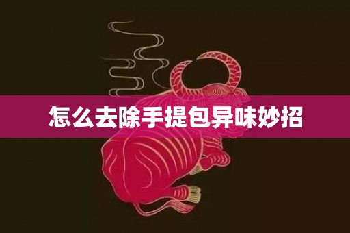 怎么去除手提包异味妙招