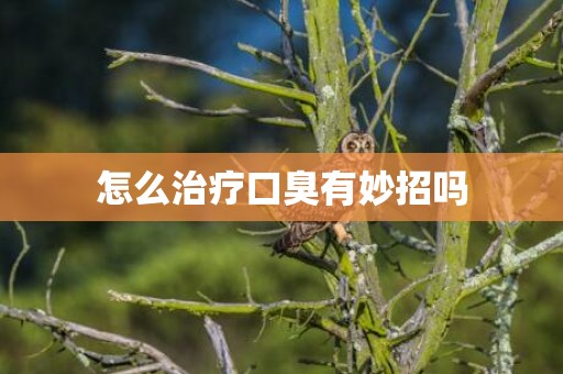 怎么治疗口臭有妙招吗