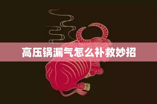 高压锅漏气怎么补救妙招