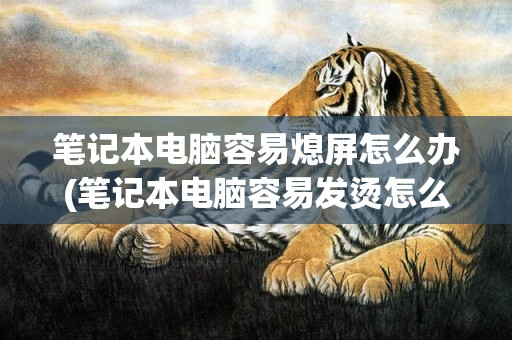 笔记本电脑容易熄屏怎么办(笔记本电脑容易发烫怎么办)