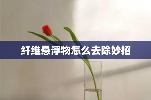 纤维悬浮物怎么去除妙招