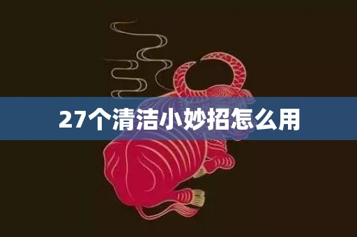 27个清洁小妙招怎么用