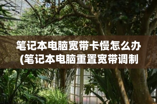 笔记本电脑宽带卡慢怎么办(笔记本电脑重置宽带调制解调器)