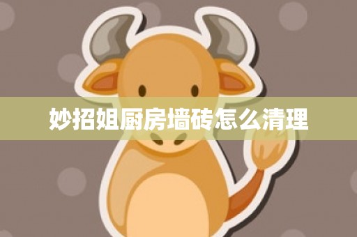 妙招姐厨房墙砖怎么清理