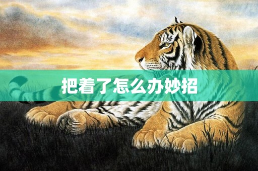 把着了怎么办妙招
