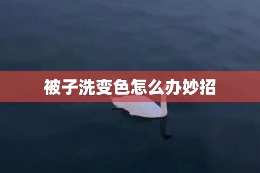 被子洗变色怎么办妙招