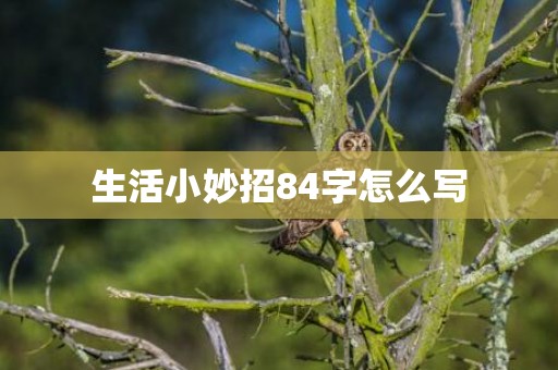 生活小妙招84字怎么写