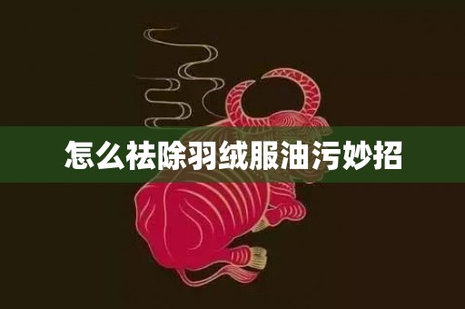 怎么祛除羽绒服油污妙招