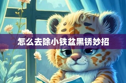怎么去除小铁盆黑锈妙招