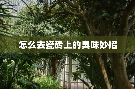 怎么去瓷砖上的臭味妙招