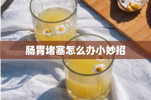 肠胃堵塞怎么办小妙招
