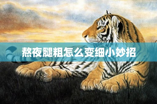 熬夜腿粗怎么变细小妙招