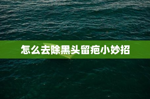 怎么去除黑头留疤小妙招