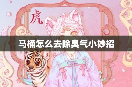 马桶怎么去除臭气小妙招
