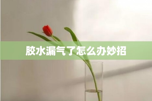 胶水漏气了怎么办妙招