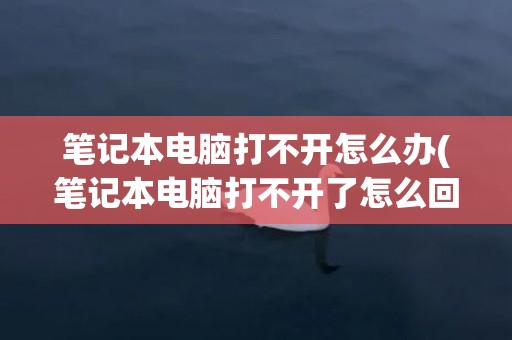 笔记本电脑打不开怎么办(笔记本电脑打不开了怎么回事)