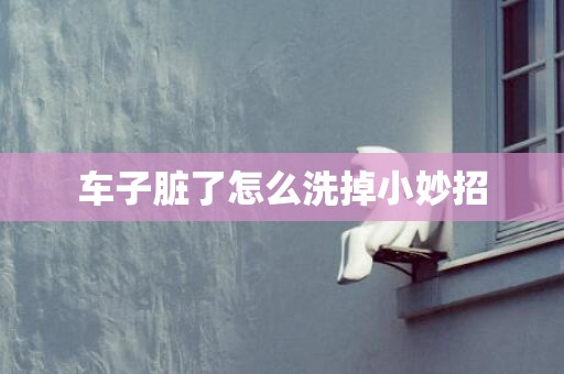 车子脏了怎么洗掉小妙招
