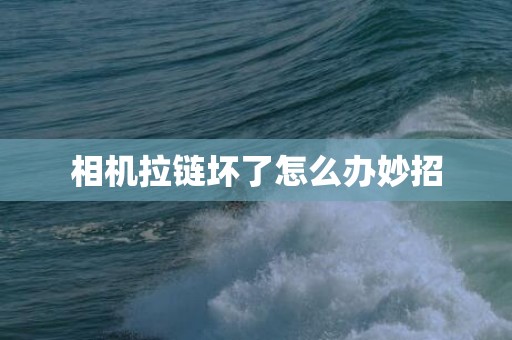 相机拉链坏了怎么办妙招