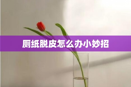 厕纸脱皮怎么办小妙招