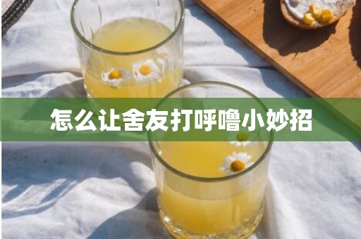 怎么让舍友打呼噜小妙招