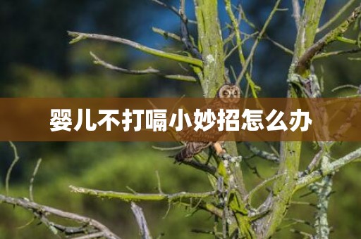 婴儿不打嗝小妙招怎么办