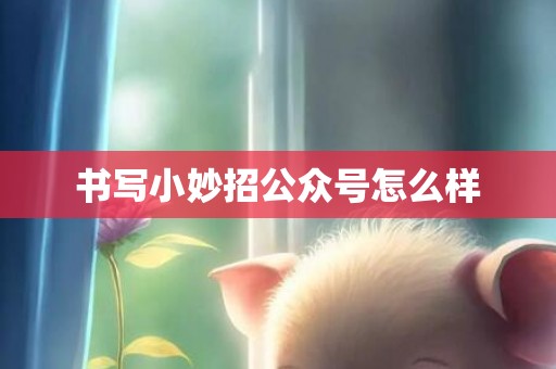 书写小妙招公众号怎么样