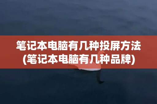 笔记本电脑有几种投屏方法(笔记本电脑有几种品牌)