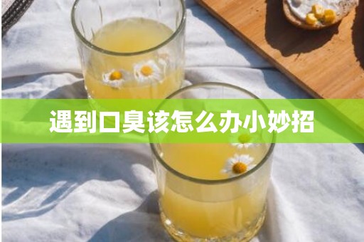 遇到口臭该怎么办小妙招